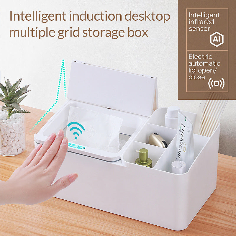 Desk storage organizer